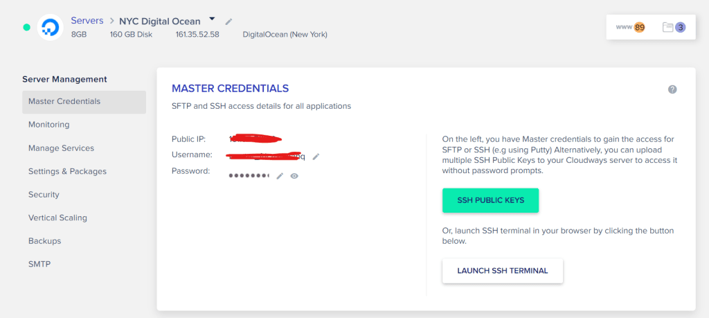 cloudways IP address