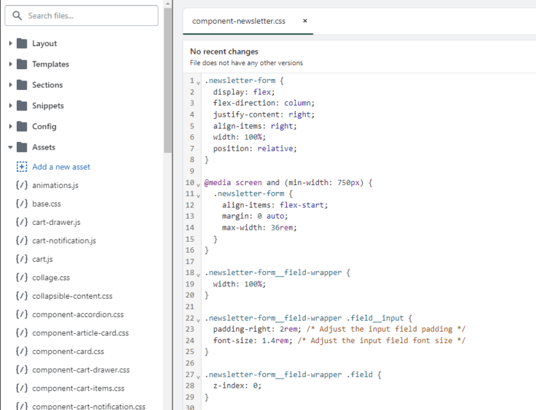 How to Add Custom Code to Shopify (2026 Step-by-Step Guide)