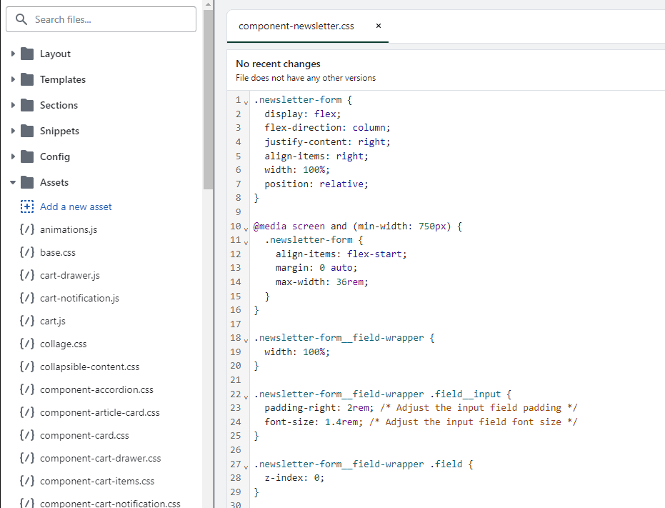 add custom code in theme.liquid File in shopify